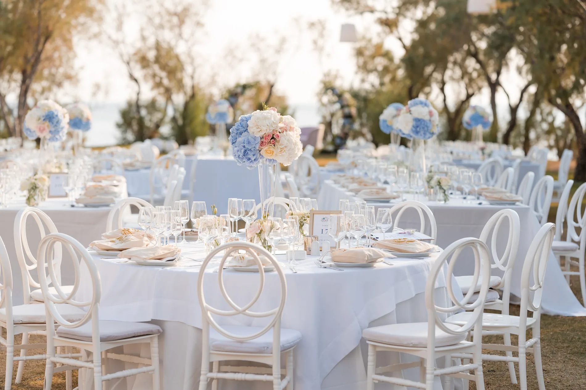 Clea & Leo wedding — frame 1