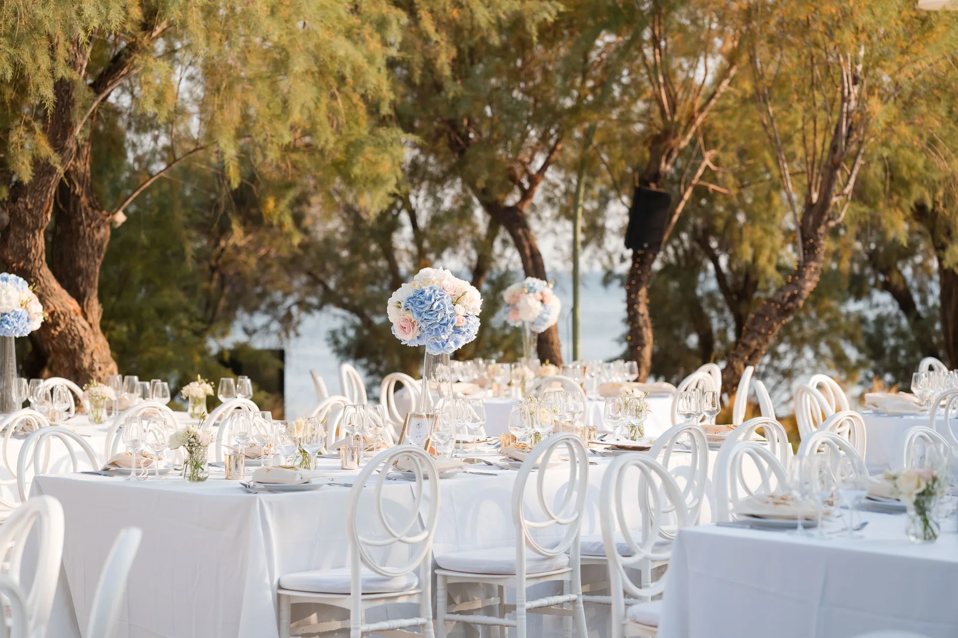 Clea & Leo wedding — frame 2