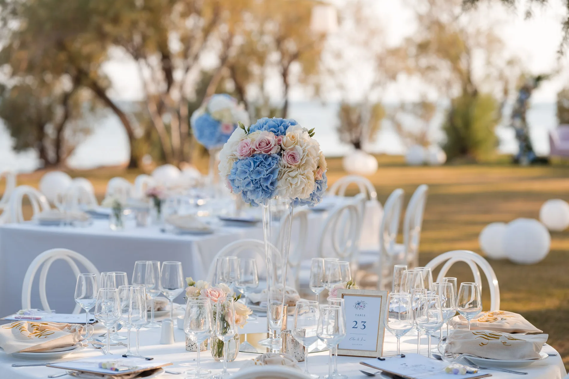 Clea & Leo wedding — frame 3