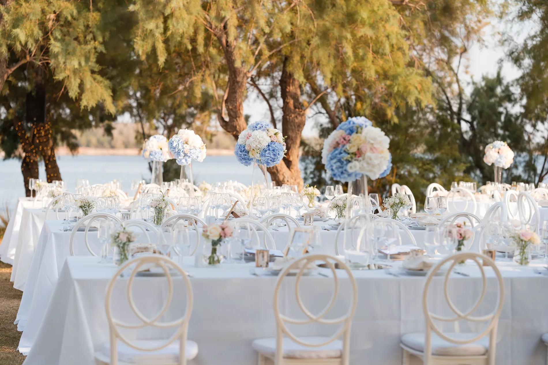 Clea & Leo wedding — frame 4
