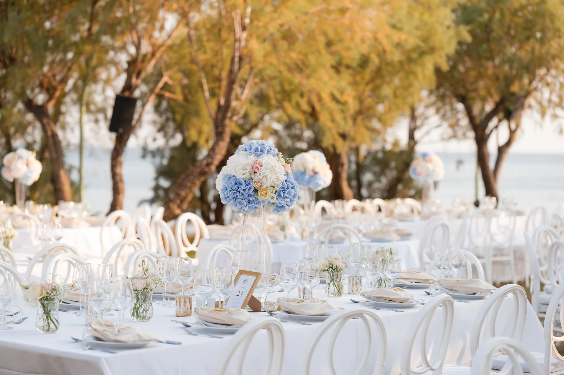 Clea & Leo wedding — frame 8