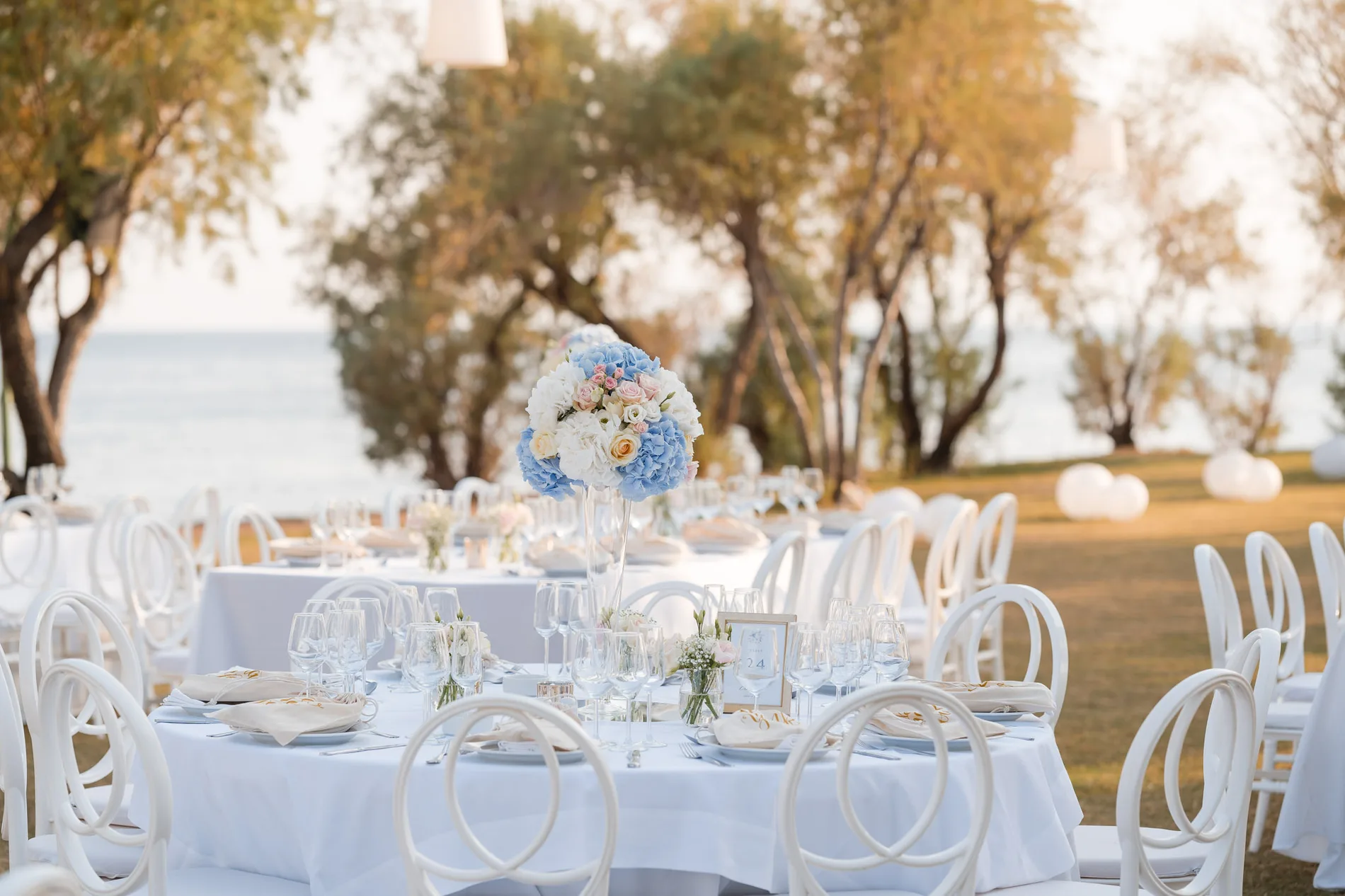 Clea & Leo wedding — frame 9
