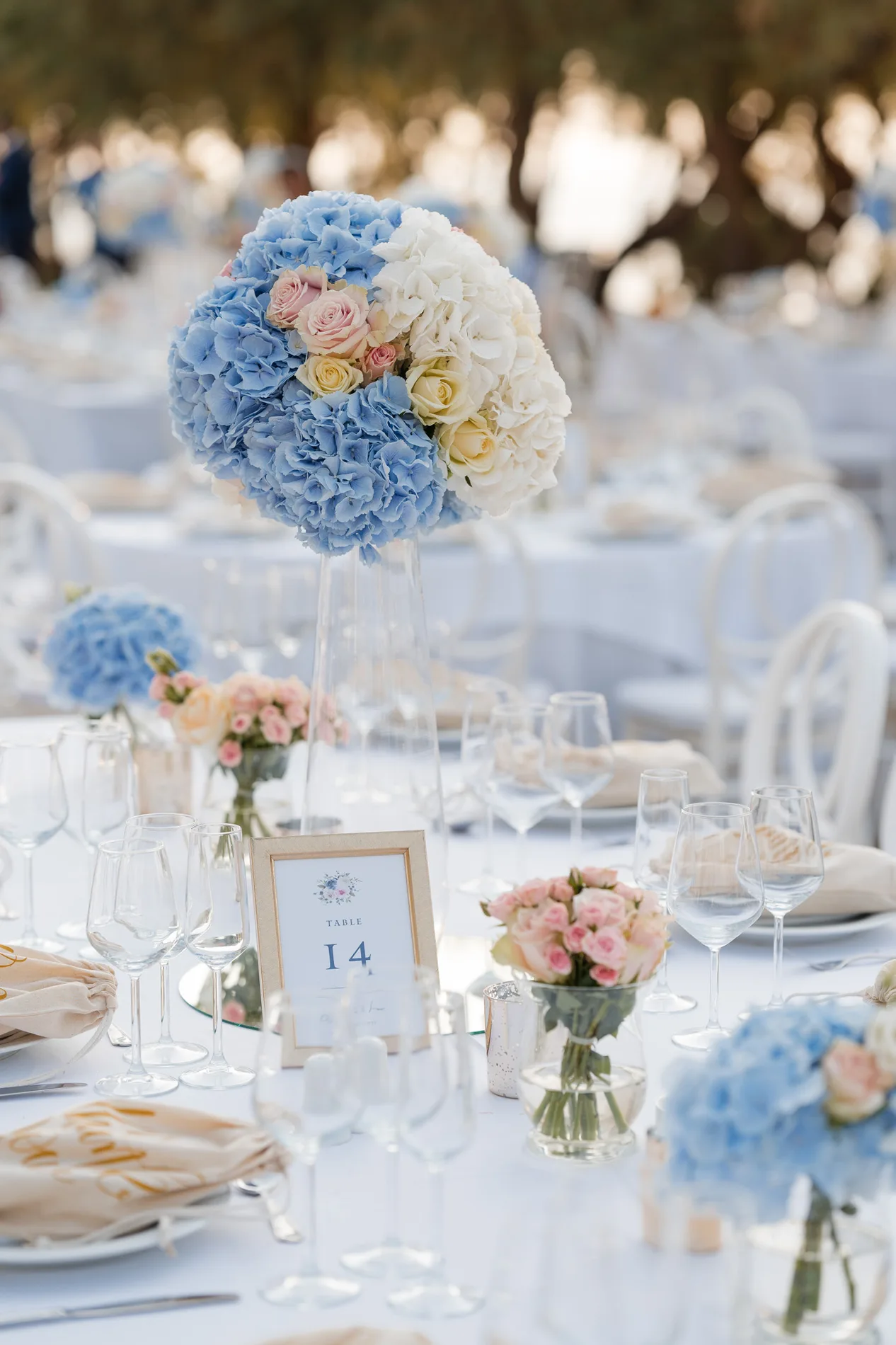 Clea & Leo wedding — frame 11