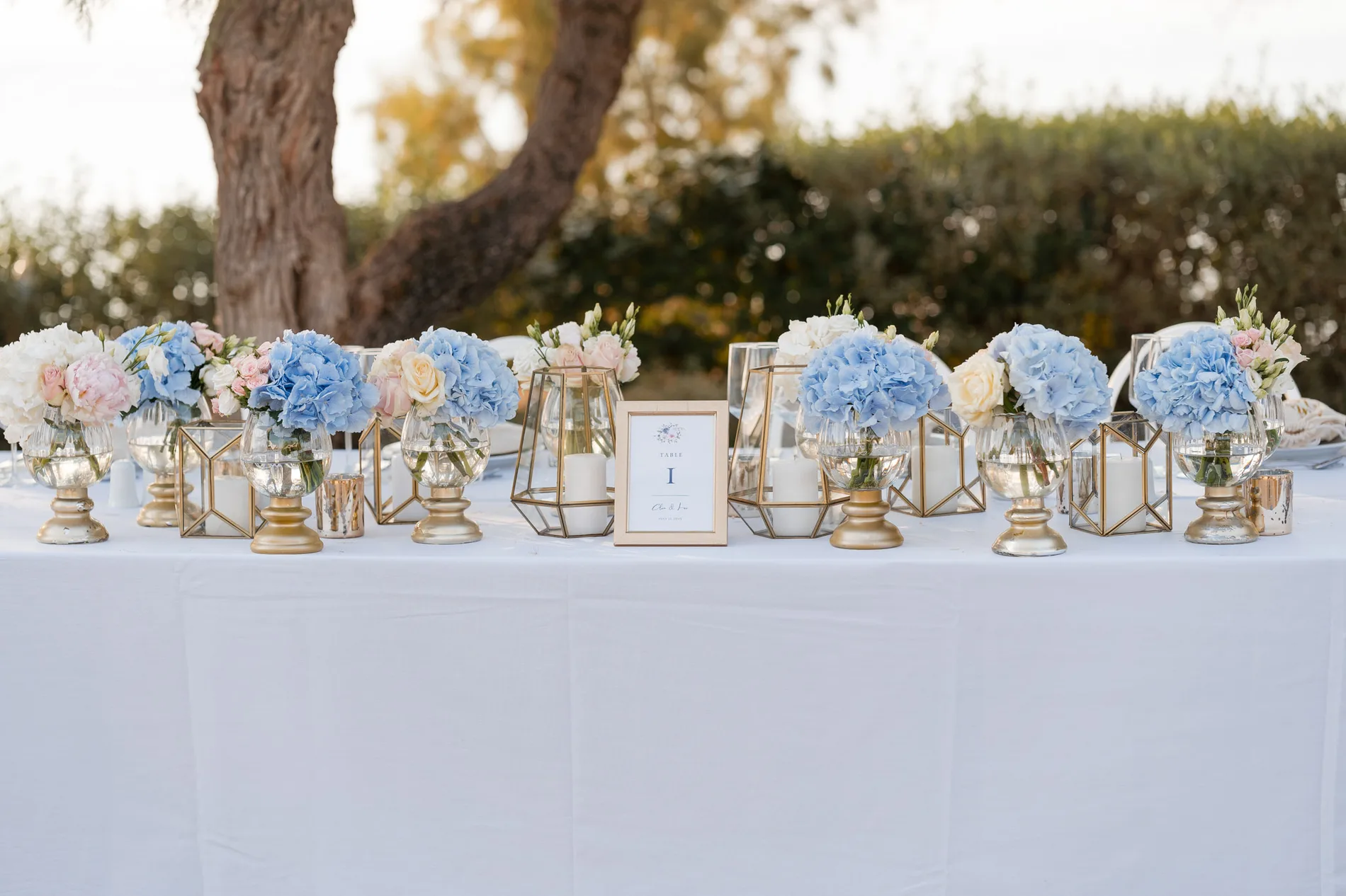 Clea & Leo wedding — frame 15