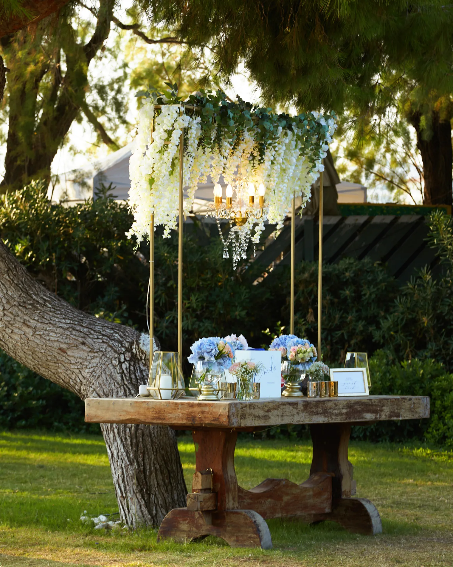 Clea & Leo wedding — frame 43