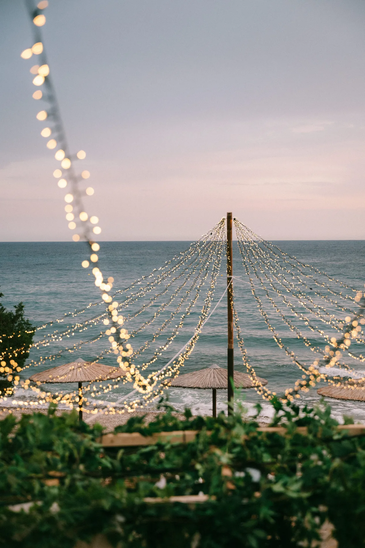 Lisa & Chris wedding — frame 23